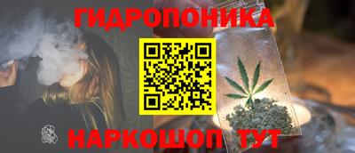 индика Донской