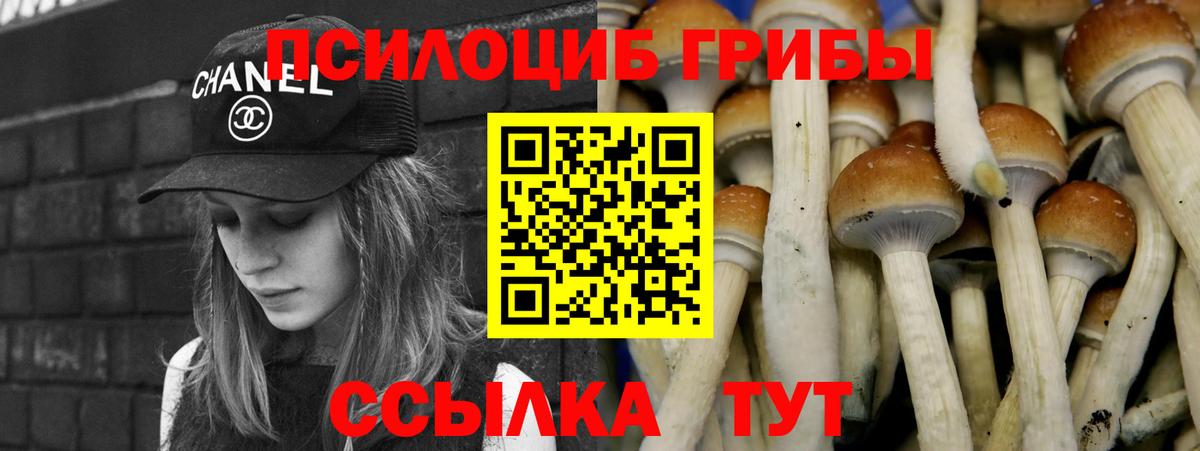 Ярцево  Псилоцибиновые грибы GOLDEN TEACHER  Вход с VPN 